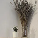 Apartman Fritula -
