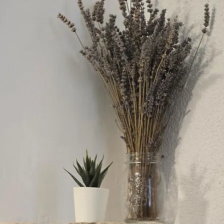 شقة Fritula -